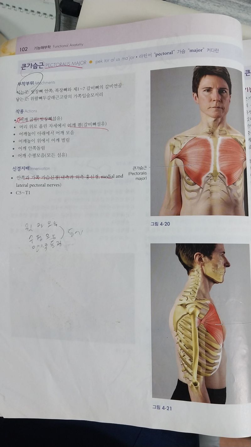 a3adf1b8654c463a626d75190417c5ab_1750047457_3653.jpg